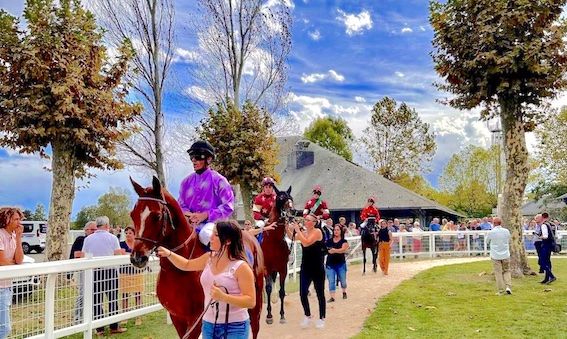 MOTION – Le Grand Tarbes au soutien de la filière hippique et de l’hippodrome